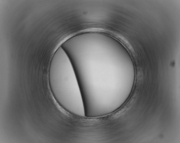X0000091461425200708161058