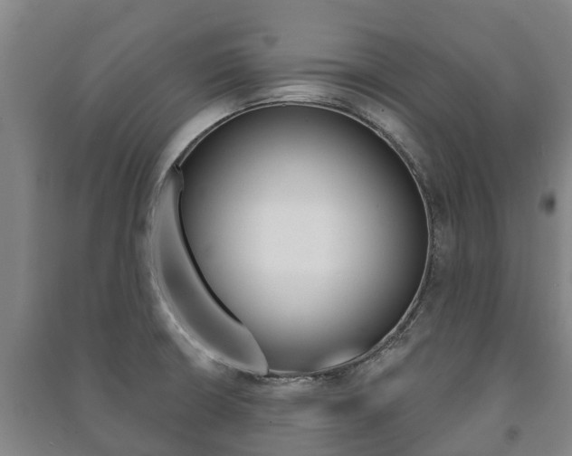 X0000091461426200708161058