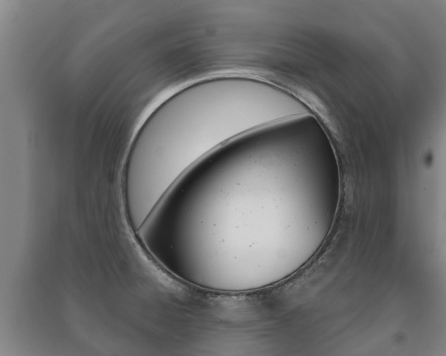 X0000091461428200708161058