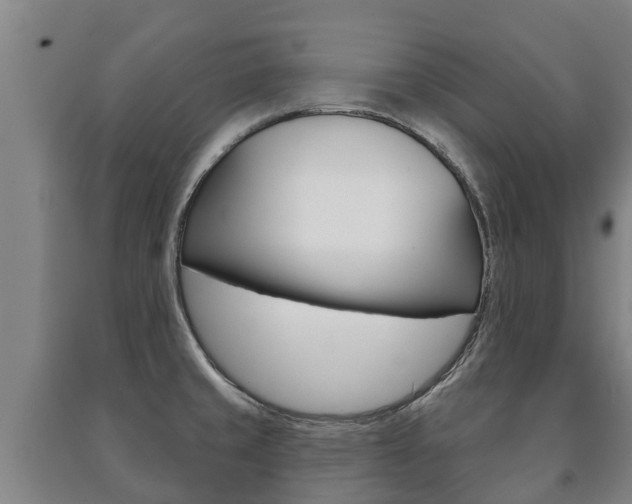 X0000091461429200708161058