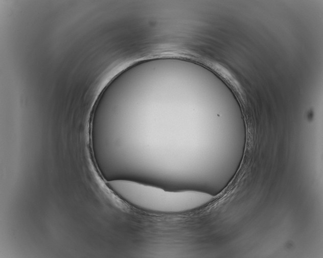 X0000091461431200708161058