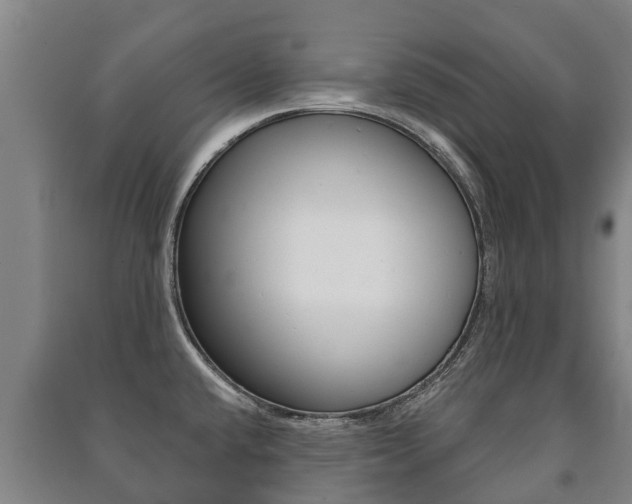 X0000091461432200708161058