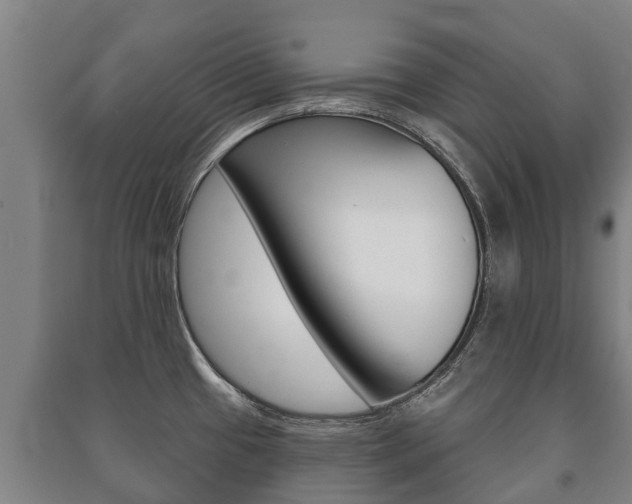 X0000091461433200708161058
