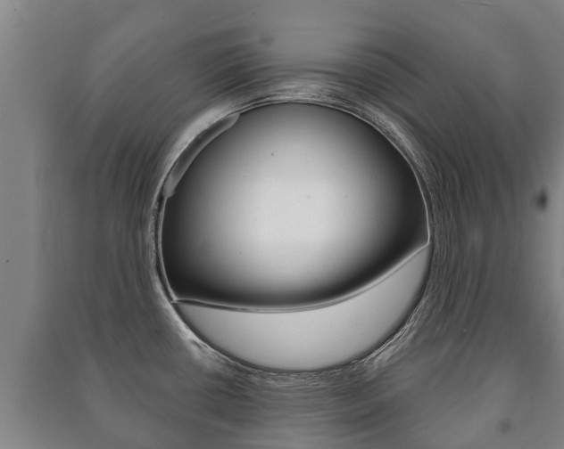 X0000091461434200708161058
