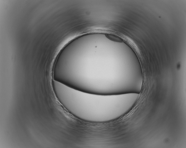 X0000091461435200708161058