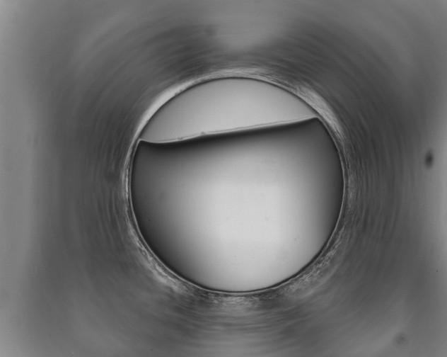 X0000091461436200708161058