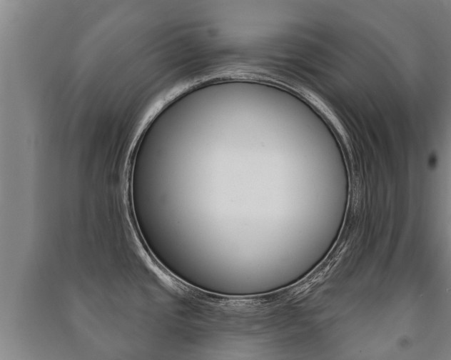 X0000091461437200708161058