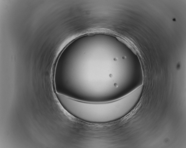 X0000091461438200708161058