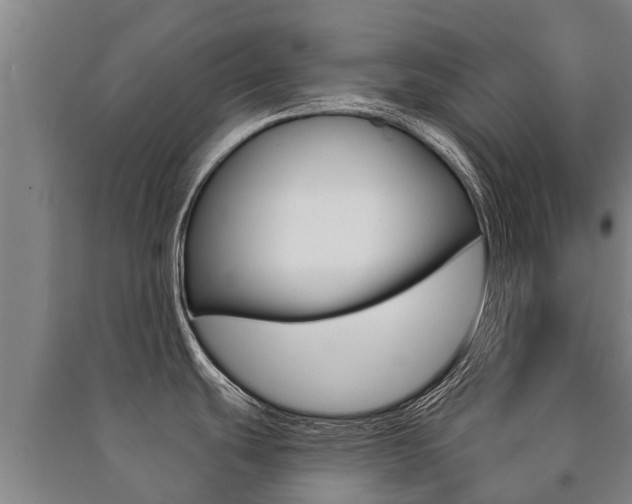 X0000091461439200708161058