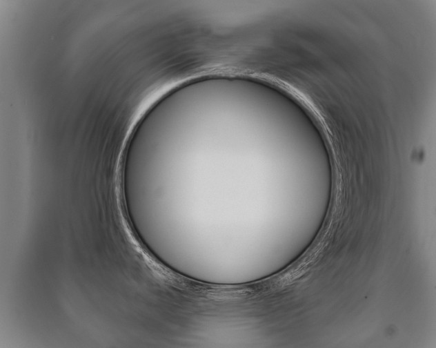 X0000091461440200708161058