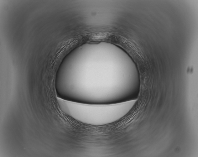 X0000091461441200708161058