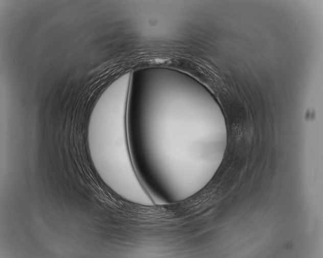X0000091461442200708161058