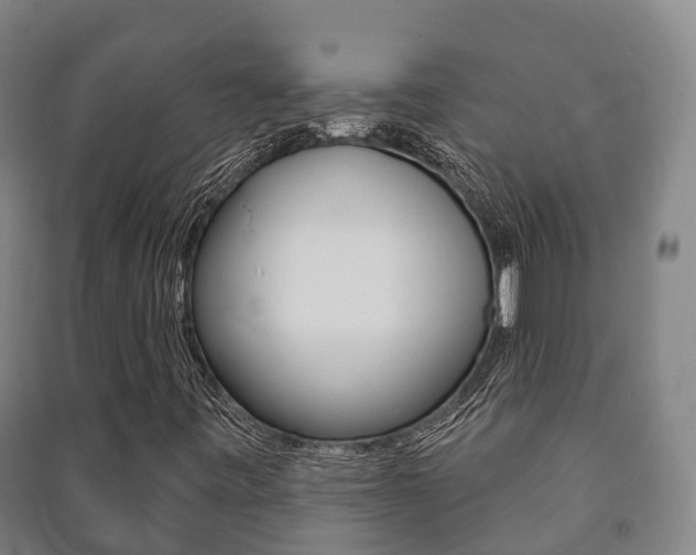 X0000091461443200708161058