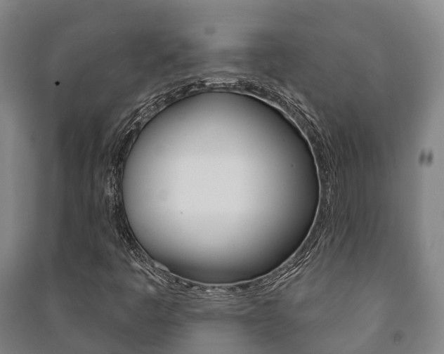 X0000091461445200708161058