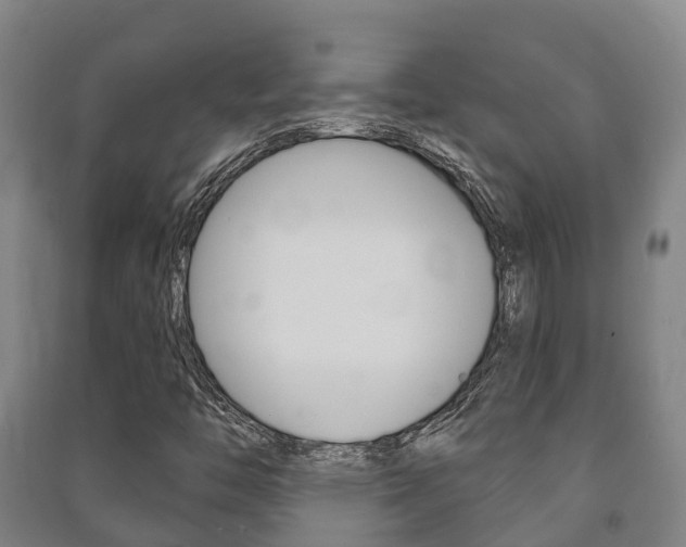 X0000091461446200708161058