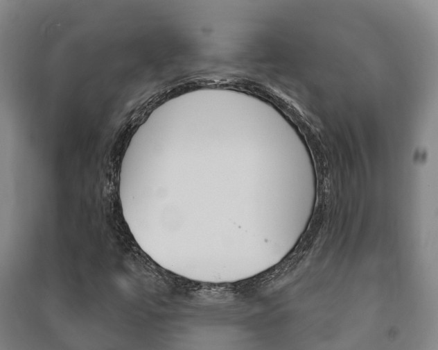 X0000091461447200708161058