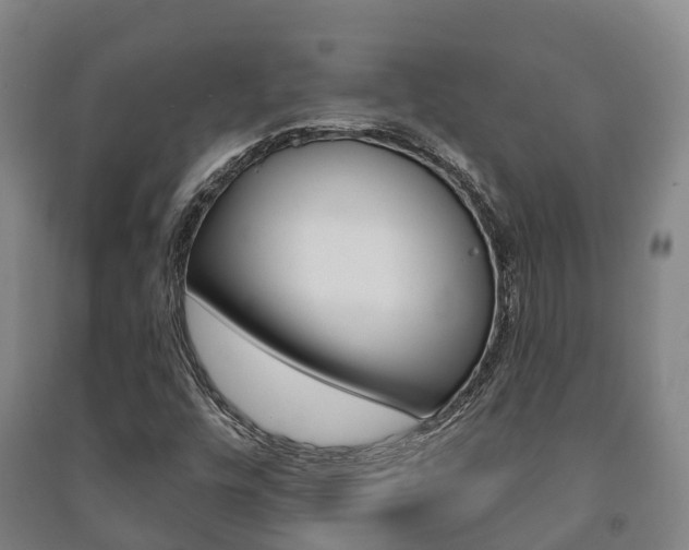 X0000091461448200708161058
