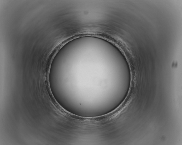 X0000091461449200708161057