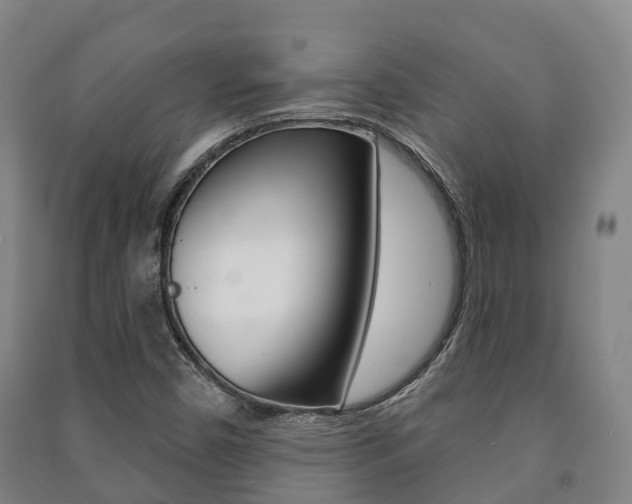X0000091461450200708161057