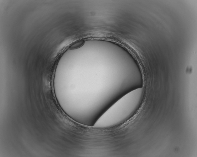 X0000091461451200708161057