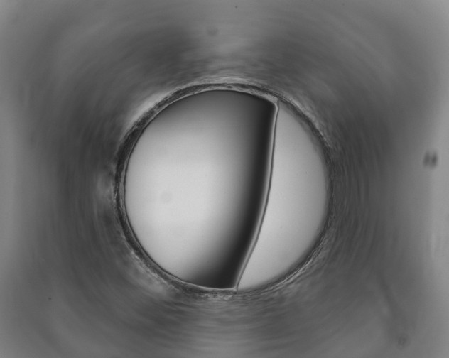 X0000091461452200708161057