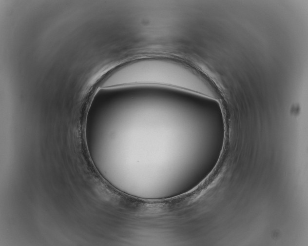 X0000091461453200708161057