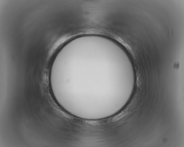 X0000091461454200708161057
