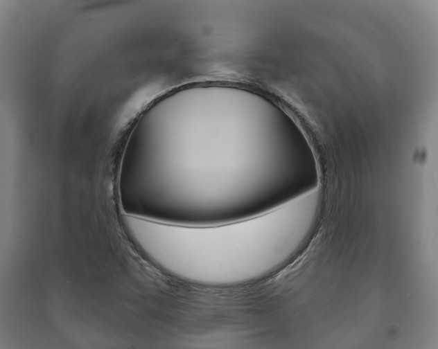 X0000091461455200708161057