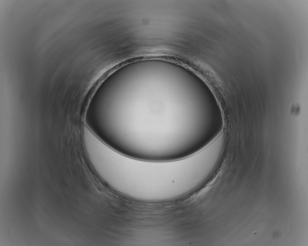 X0000091461457200708161057