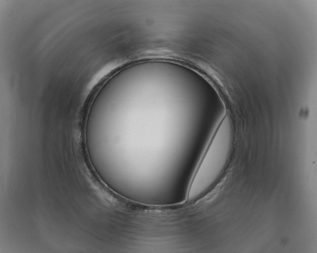 X0000091461458200708161057
