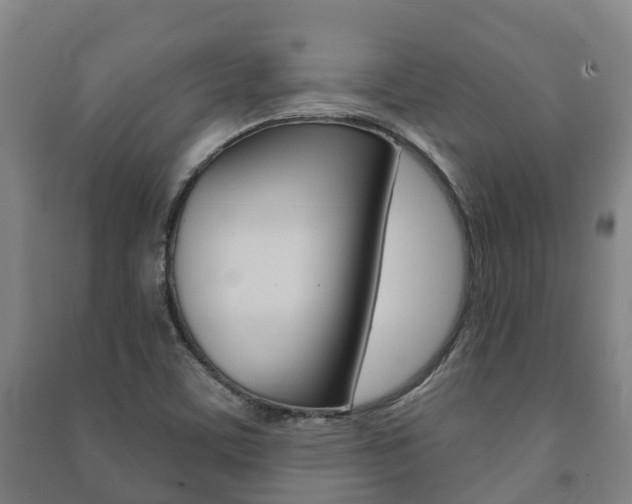 X0000091461459200708161057