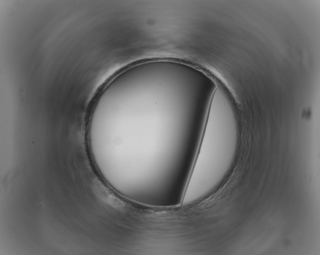 X0000091461460200708161057