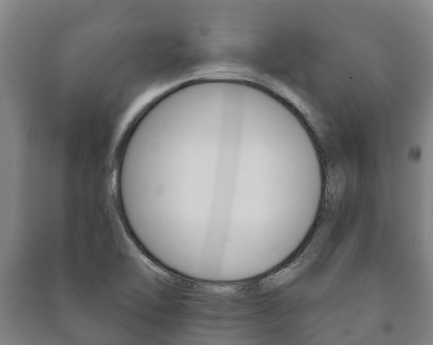 X0000091461462200708161057