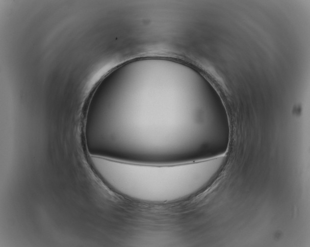 X0000091461463200708161057