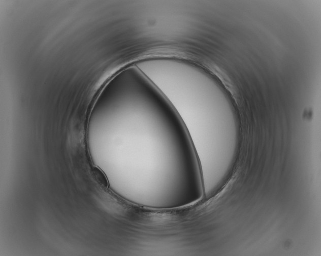 X0000091461465200708161057
