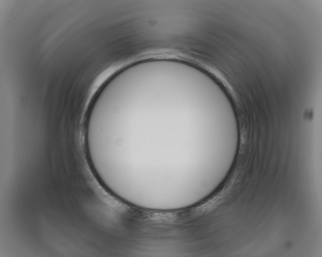 X0000091461466200708161057