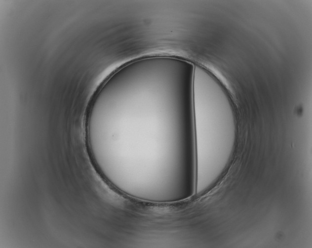 X0000091461468200708161057