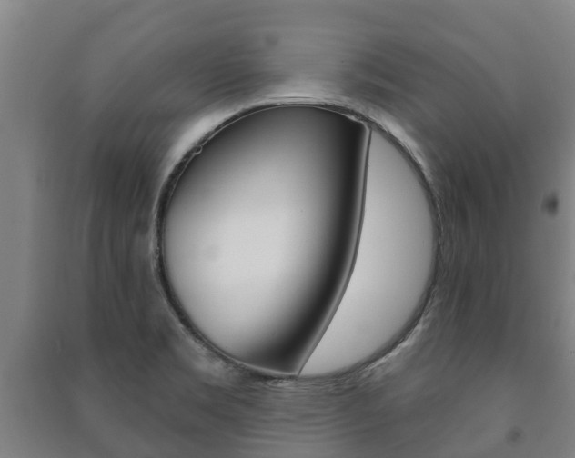 X0000091461469200708161057
