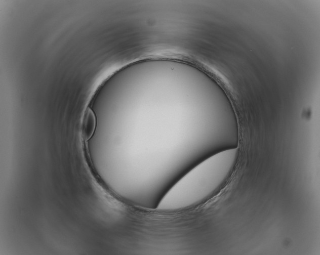 X0000091461471200708161057