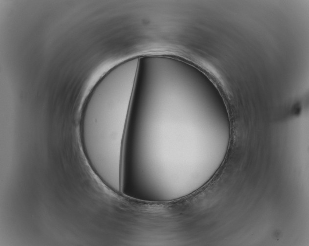 X0000091461472200708161057