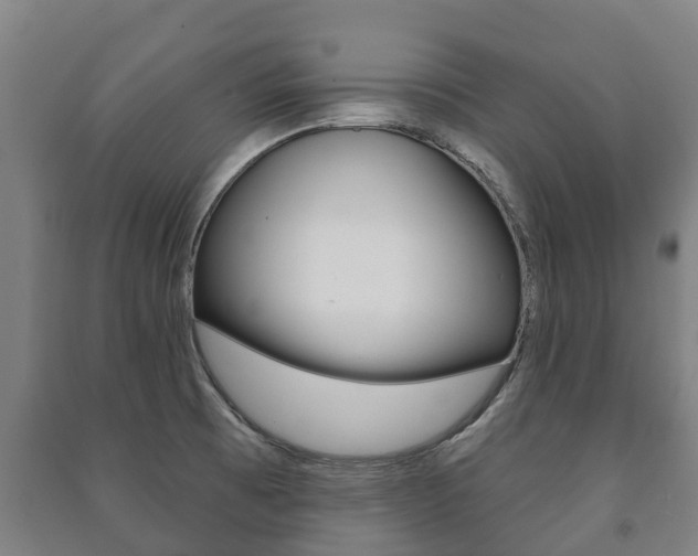 X0000091461473200708161057