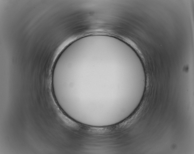 X0000091461474200708161057