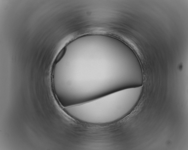 X0000091461475200708161057