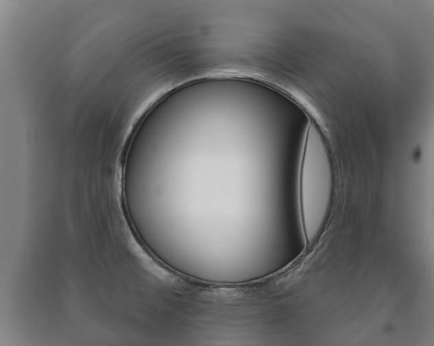 X0000091461476200708161057