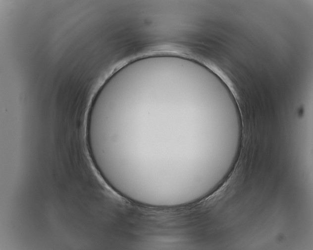 X0000091461477200708161057
