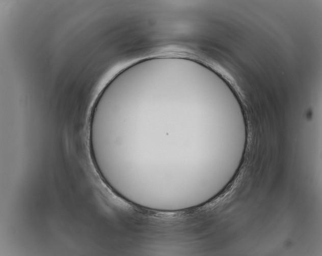 X0000091461478200708161057