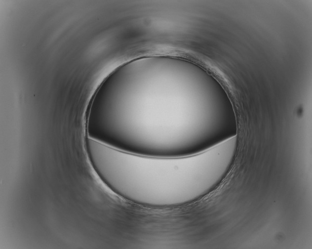 X0000091461479200708161057