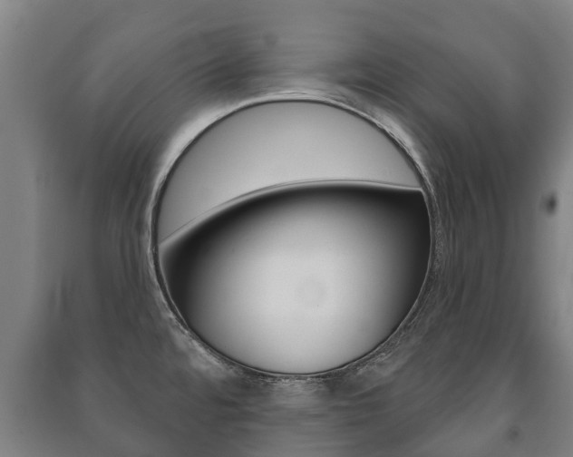 X0000091461480200708161057