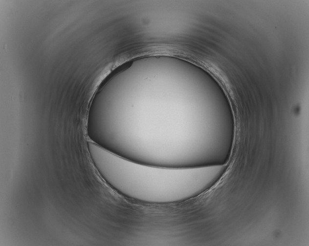 X0000091461481200708161057