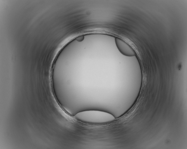 X0000091461482200708161057